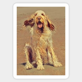 Sitting on a Beach Spinone Sticker